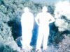 soulwax