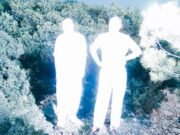 soulwax
