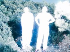 soulwax